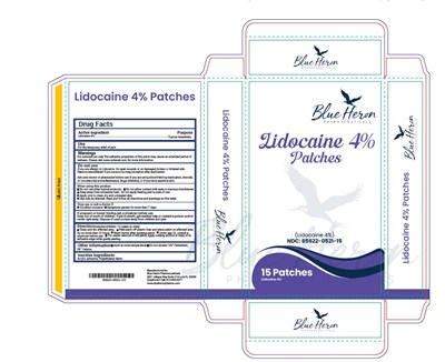 Label (Lidocaine 4 Patches)
